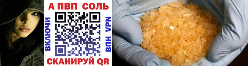 A PVP СК КРИС  Обь 
