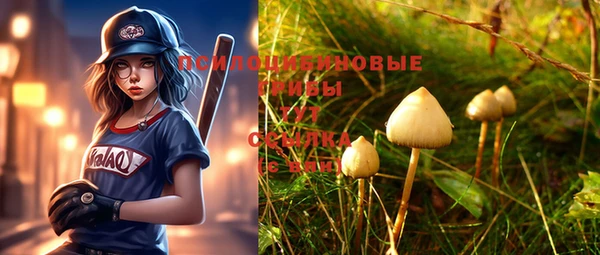 дурь Белокуриха