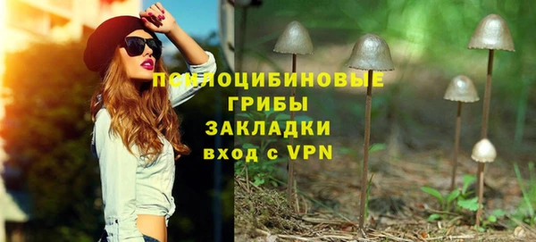 дурь Белокуриха