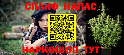 дмт Пенза