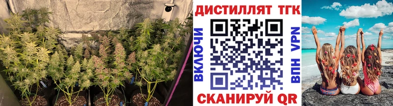 Дистиллят ТГК концентрат  kraken маркетплейс  Обь 