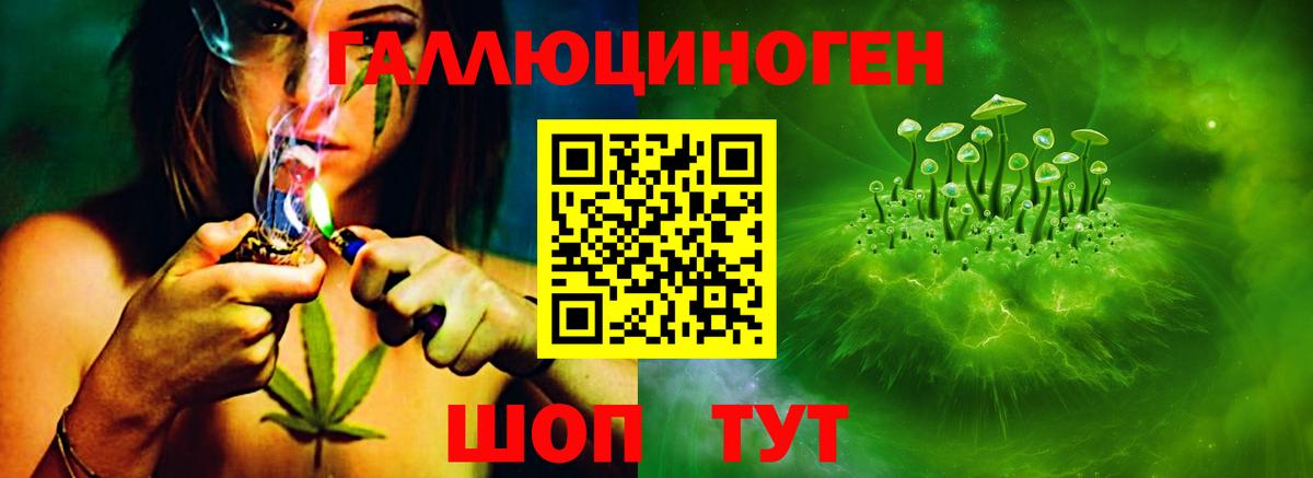 Обь  Псилоцибиновые грибы MAGIC MUSHROOMS  Вход с VPN 